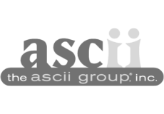 partner-ascii-1