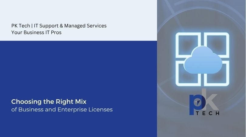 Choosing the Right Mix of Business and Enterprise Licenses